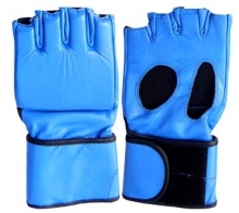 MMA Gloves